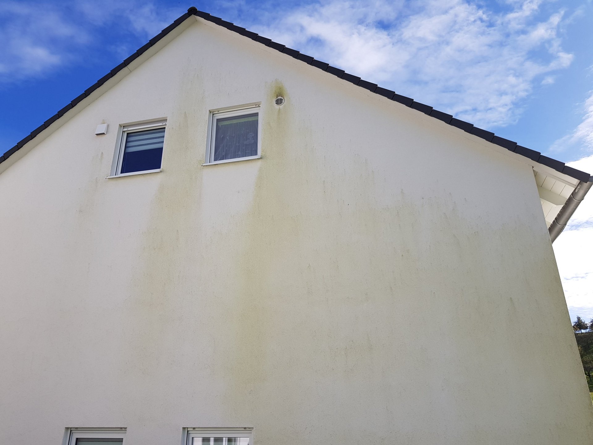 Przed: Blok mieszkalny - usunięcie glonów