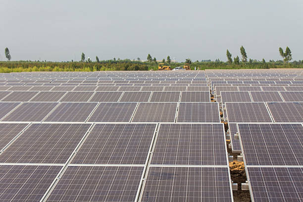 Przed: Farma PV - kompleksowe czyszczenie